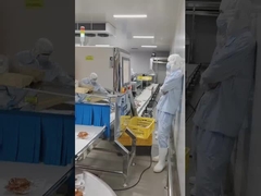 Mesin Pemeriksaan Sinar X Makanan Sensitivitas Tinggi Untuk Kacang