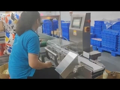 110 / 220V Industrial Checkweigher, Mesin Penimbangan Skala Untuk Kemasan Botol