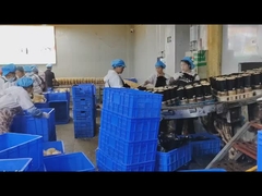 Full Structure Takes Of Stainless 304 Food Metal Detector dengan Pemrosesan Sinyal Digital dan OEM