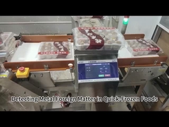 Full Structure Takes Of Stainless 304 Food Metal Detector dengan Pemrosesan Sinyal Digital dan OEM