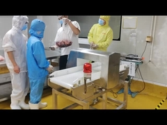 Digital Conveyor Metal Detector Keamanan Makanan / Kedokteran / Penggunaan Industri Apparel