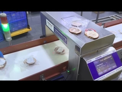 Automatic Conveyor Industrial Food Grade Metal Detector Perlengkapan Keamanan Mesin Disesuaikan OEM