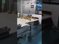 Detektor logam konveyor otomatis 0.5mm Sensitivitas Pengujian bahan baku makanan / kosmetik