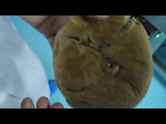 Automatic Conveyor Industrial Metal Detector Untuk Mesin Keamanan Makanan Customized OEM Manufacturer