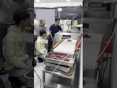 Detektor Logam Food Grade