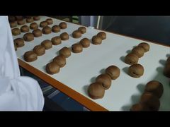 0.01g Resolution Metal Detector Untuk Pengolahan Makanan Melindungi Produk Anda Dari Kontaminasi Logam