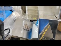 Detektor Logam Kaca Keamanan Pangan Dapat Produk Dengan Penolak Mesin Sinar-X Untuk Industri Pangan